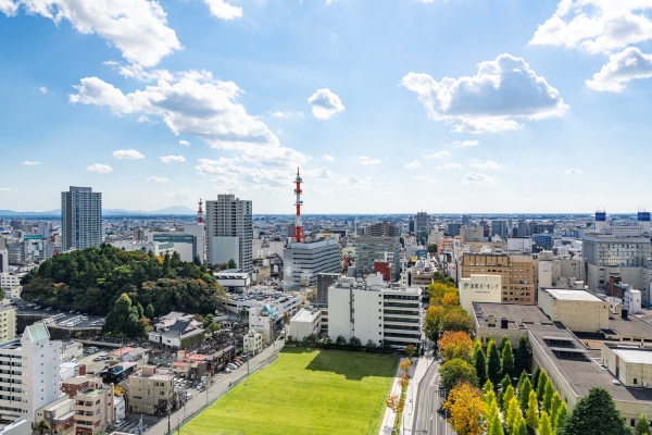 自治体業務改善サービス